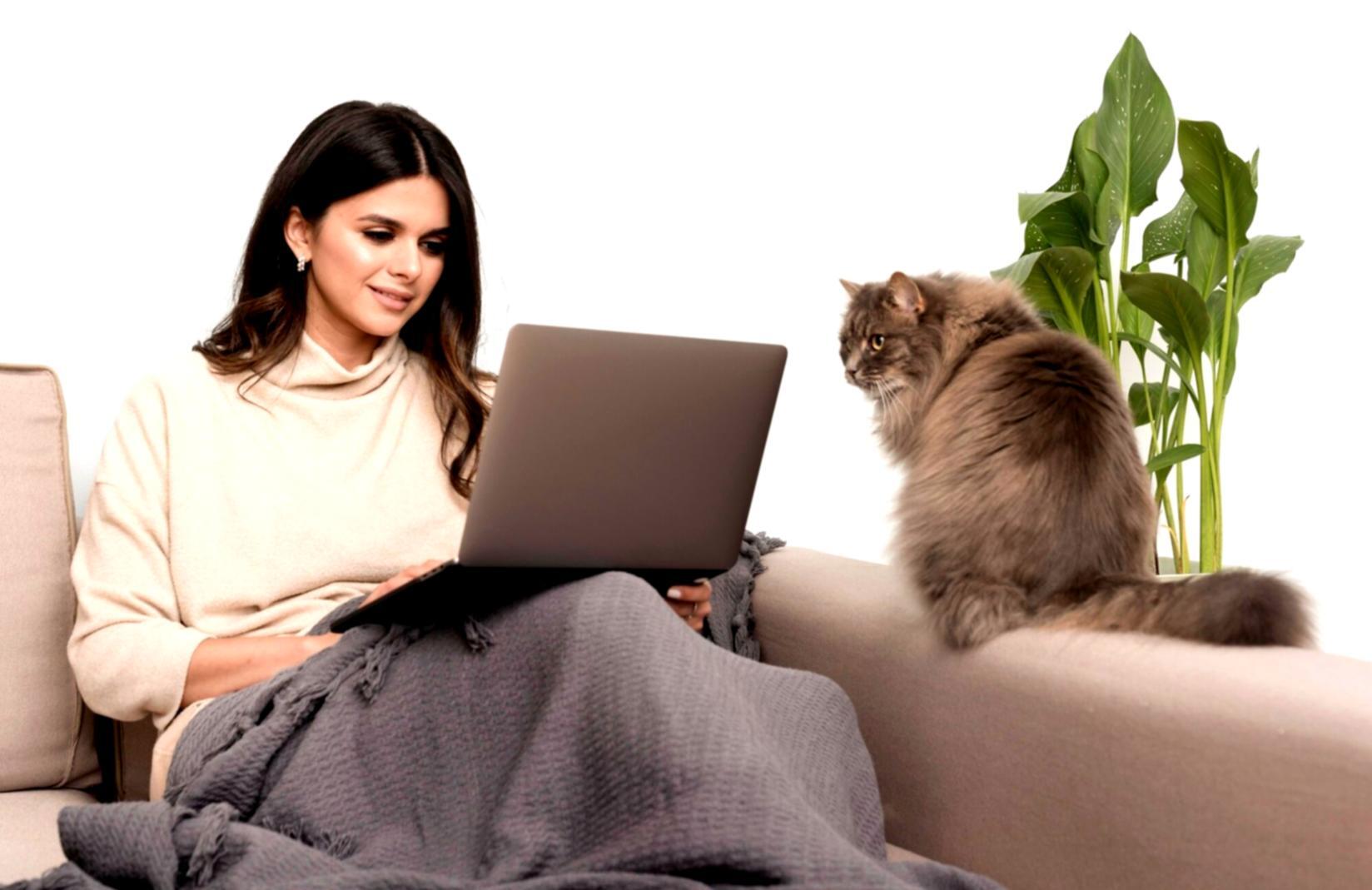 Sessione di analisi delle varianze di budget